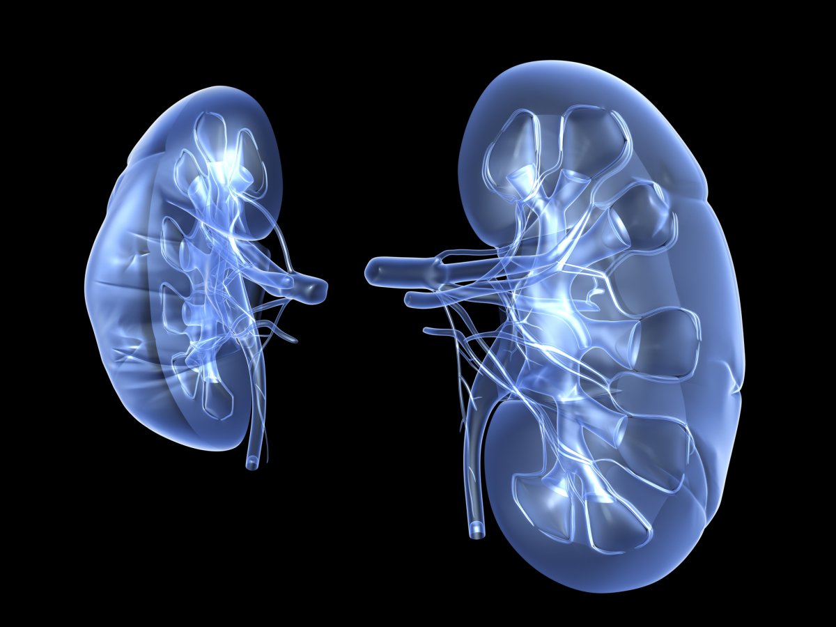 Your Kidneys … and What It Means When Things Go Wrong