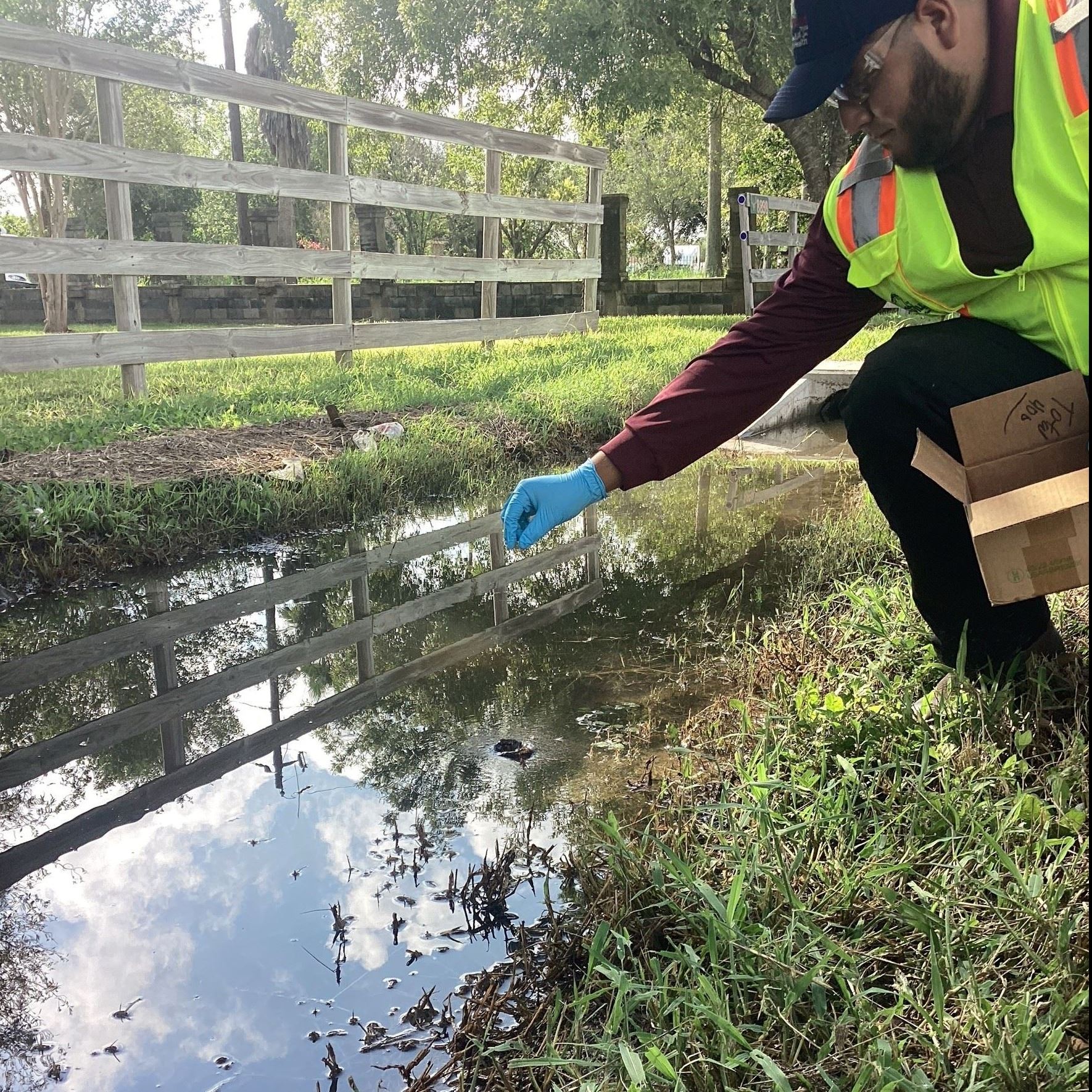 City Of Brownsville Continues Mosquito Control Efforts