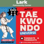 Discover Discipline and Strength with Tae Kwon Do Program