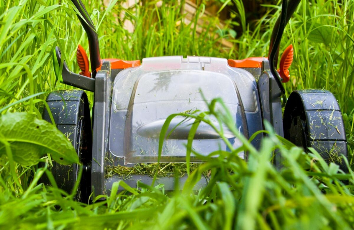 Lawn Mowing Contracts To Address Overgrown Vacant Properties