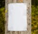 Avoid Posting Items On Utility Poles