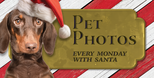 Pet Photo Mondays at Sunrise Mall