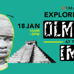 Exploring the Olmecs at IMAS