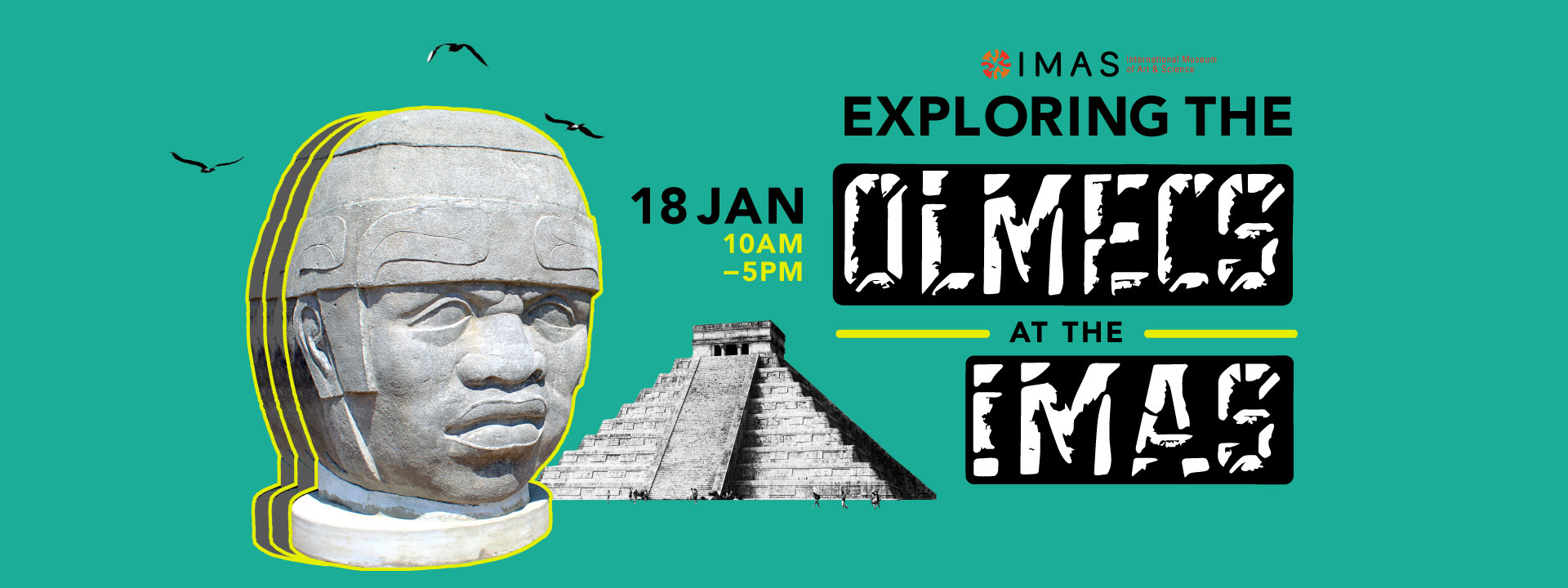 Exploring the Olmecs at IMAS