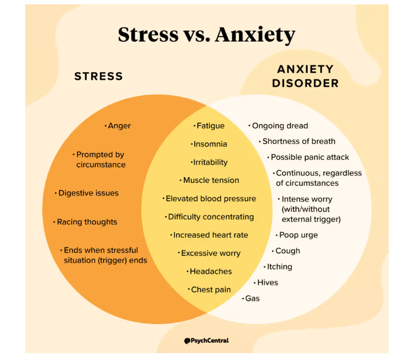 Stress vs. Anxiety: How to Tell the Difference