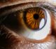 Stem cell therapy could heal injured corneas, restore vision