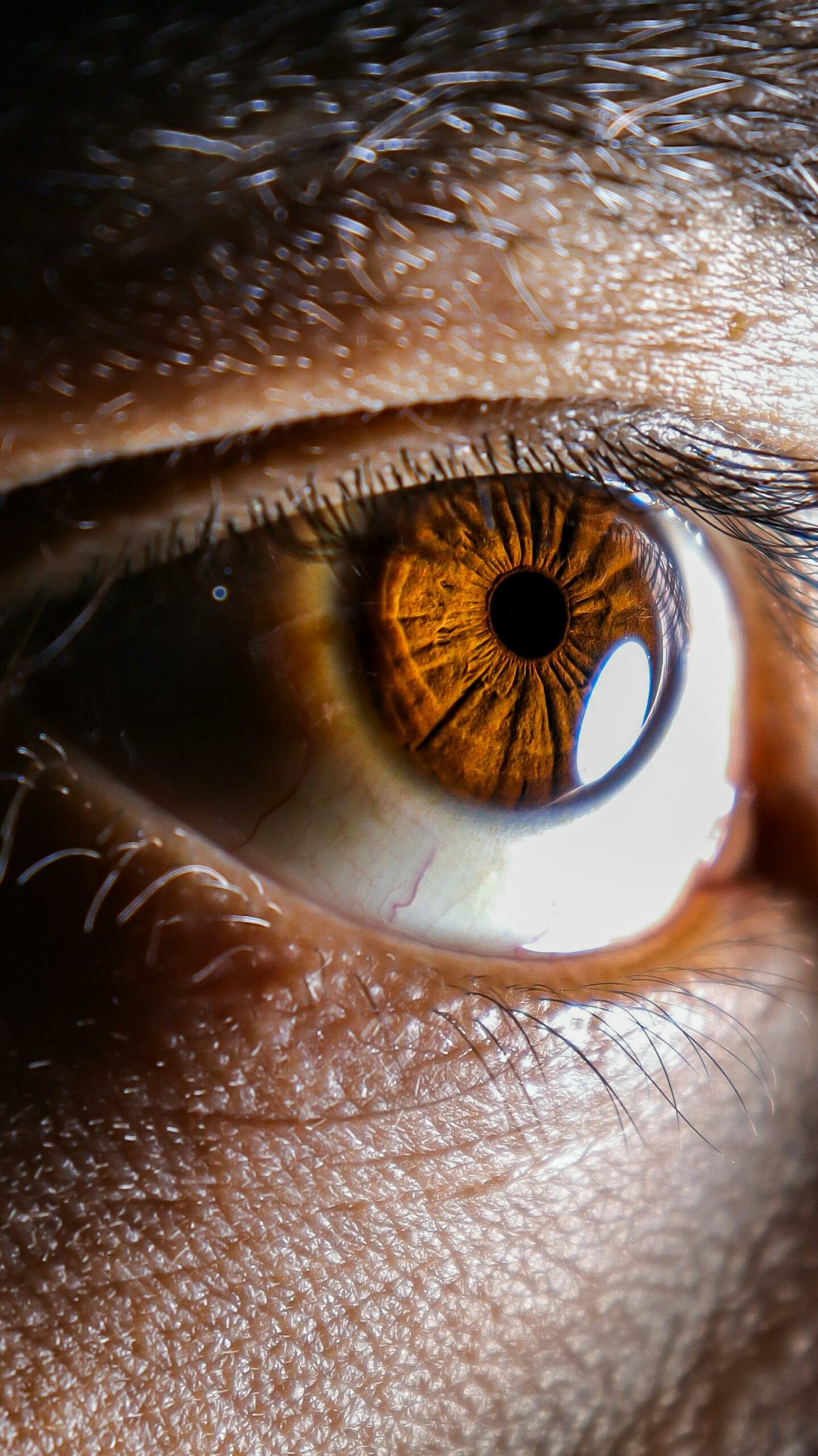 Stem cell therapy could heal injured corneas, restore vision