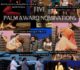 Mission Veterans Memorial High School takes center stage with multiple nominations for 2025 Palm Awards