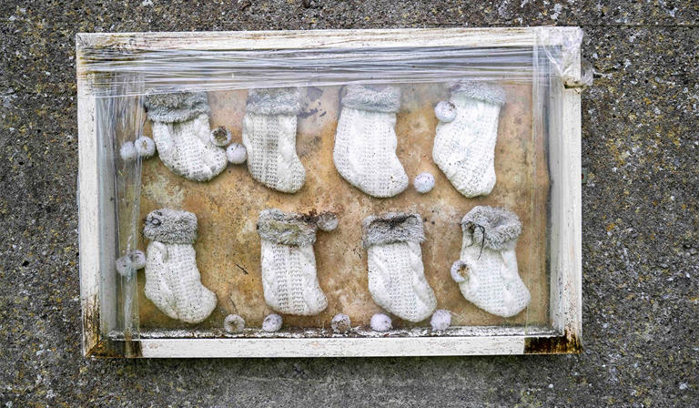 Work begins in dig for remains of 800 babies at former mother and baby home