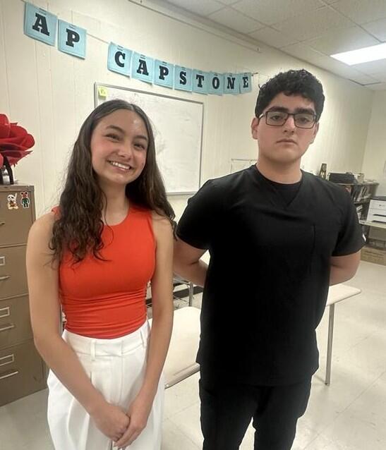 AP Capstone program students submit research for professional journals