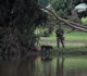 Attorney General Ken Paxton is Warning Texans to be Aware of Scammers Amid the Catastrophic Flooding in Texas
