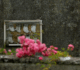 Ireland begins exhumation of a mass grave containing the remains of 796 babies in Tuam