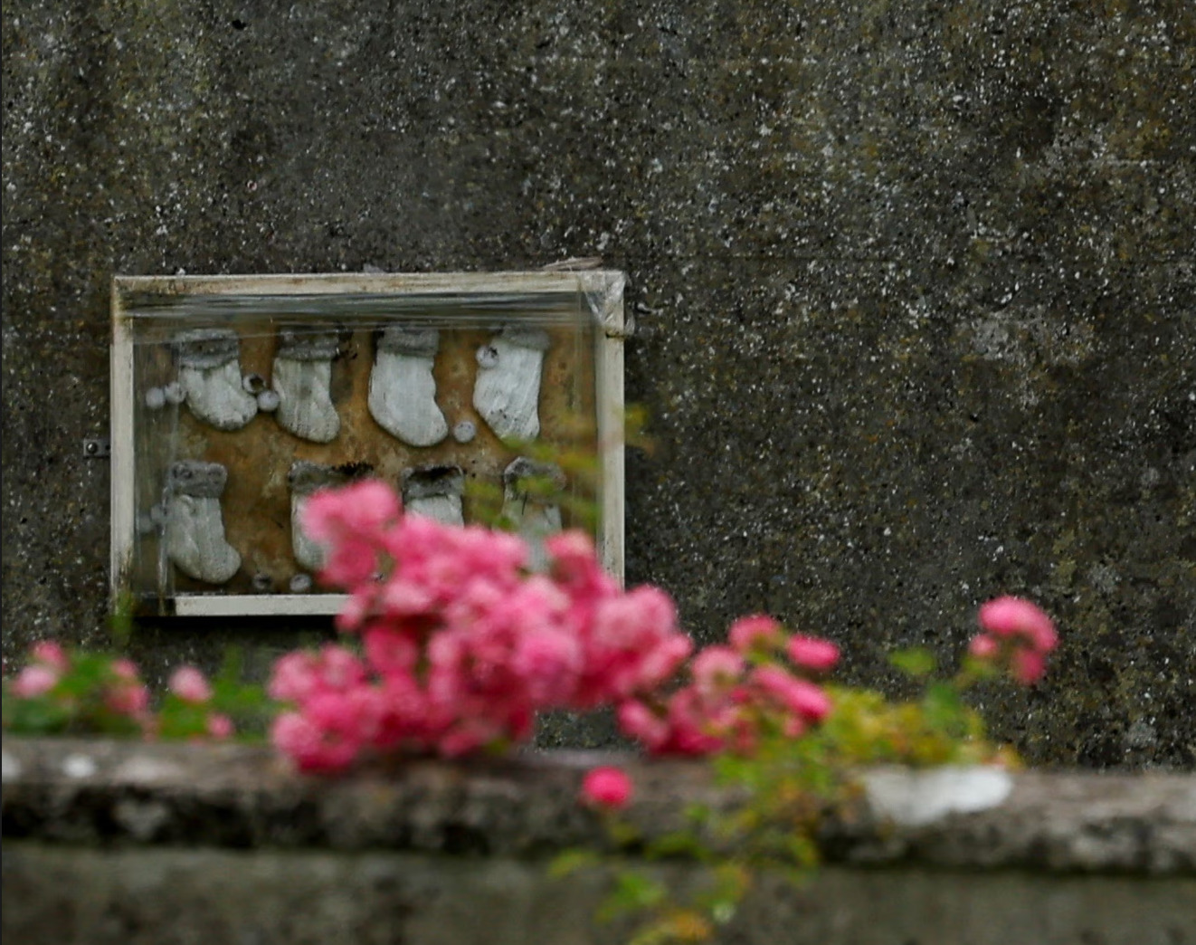 Ireland begins exhumation of a mass grave containing the remains of 796 babies in Tuam