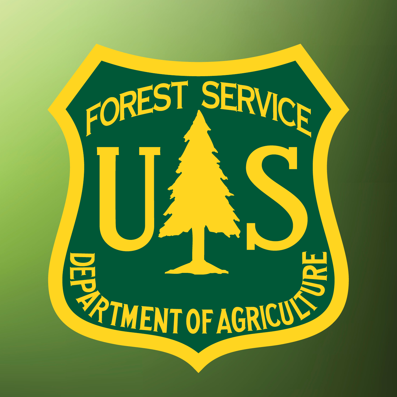 USDA Forest Service invests in four projects to restore state and private forests across the South