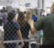 District Court Grants Temporary Restraining Order Prohibiting ICE from Detaining Immigrants in Abusive Conditions at 26 Federal Plaza