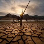 Texas Faces Critical Water Supply Crisis — Action Needed Now to Secure State’s Future