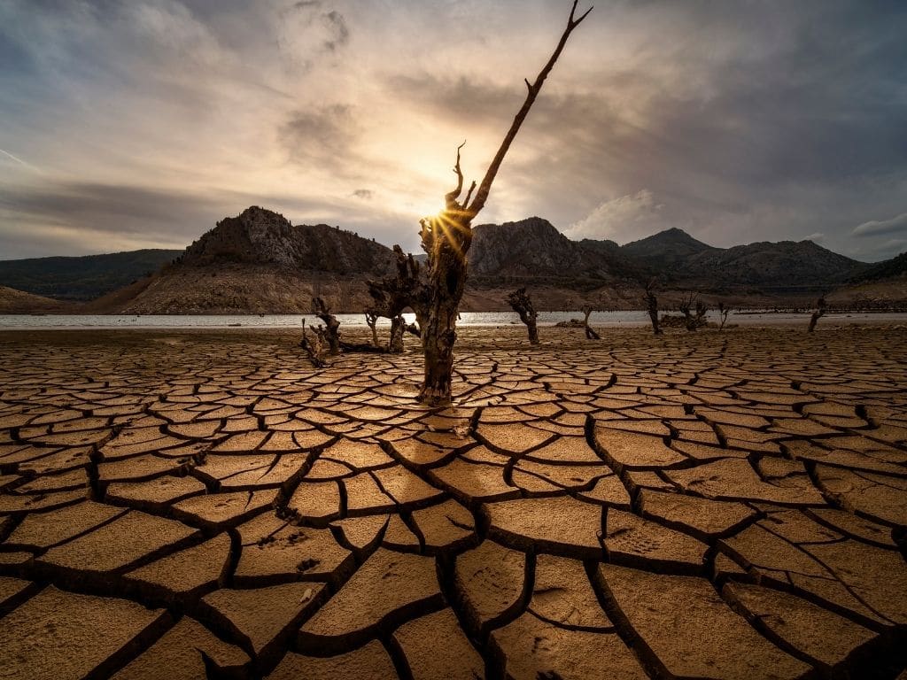 Texas Faces Critical Water Supply Crisis — Action Needed Now to Secure State’s Future