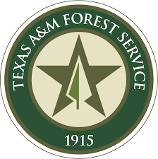 Moon awarded National Association of State Foresters Award for Communications