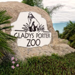 RGV Hispanic Chamber to Host Mixer at Gladys Porter Zoo