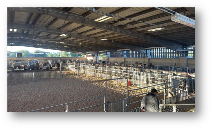 Mission CISD Agriculture Program Turns “Barnyard Waste into Garden Gold” with Monthly FREE Manure Giveaway