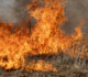Elevated wildfire risk expected across Texas this week