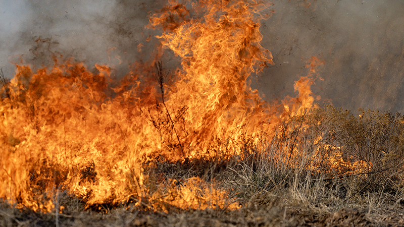 Elevated wildfire risk expected across Texas this week